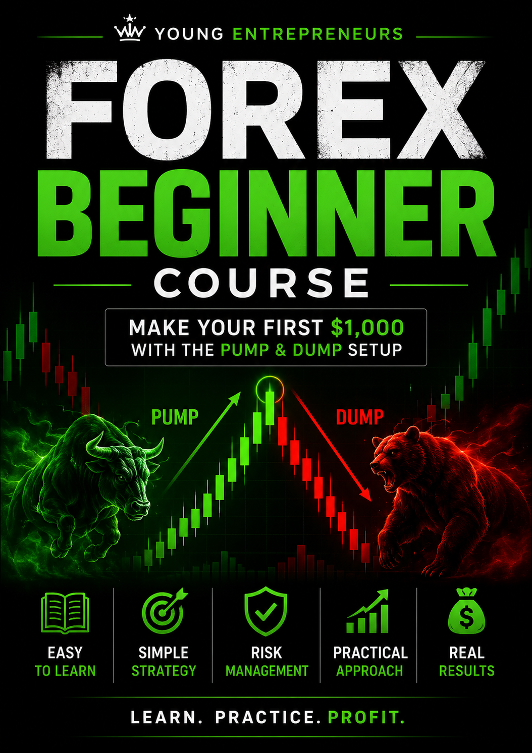 Forex Beginner Course